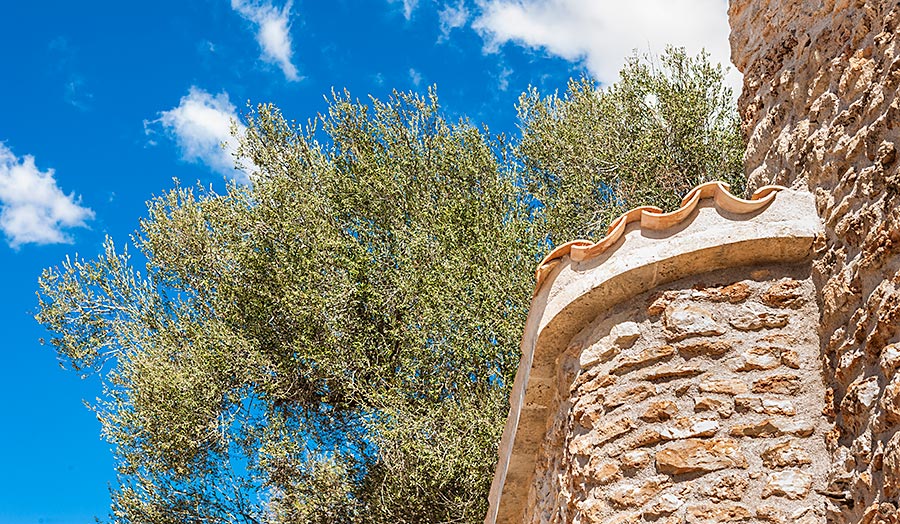 fotógrafo arquitectura Mallorca